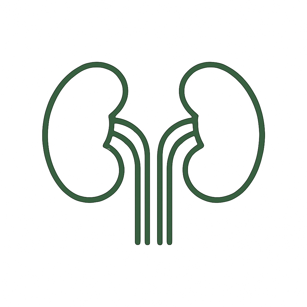 Kidney, Urinary Tract & Prostate