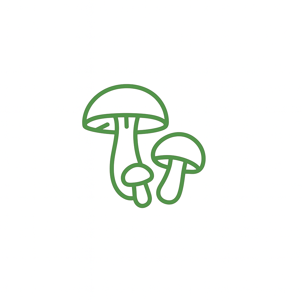 Functional Mushrooms