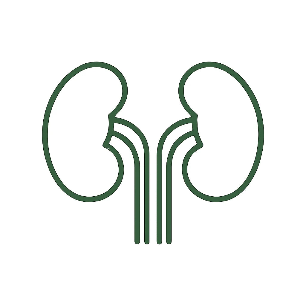 Kidney, Urinary Tract & Prostate