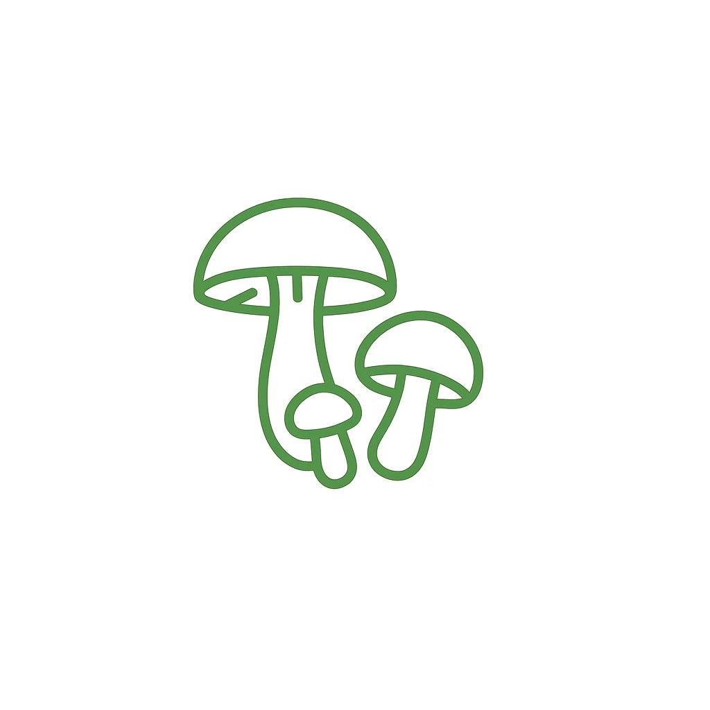 Functional Mushrooms